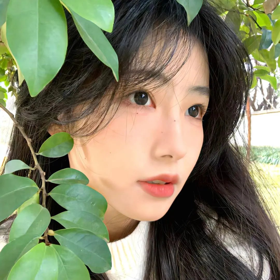 离婚后她惊艳了世界